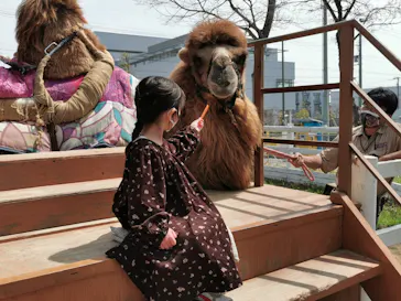 神戸どうぶつ王国に投稿された画像（2022/4/8）