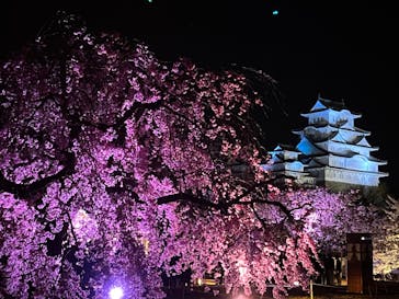 姫路城（イベント）に投稿された画像（2022/4/8）