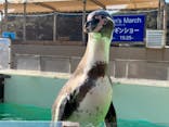 下田海中水族館に投稿された画像（2022/4/8）