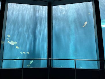 下田海中水族館に投稿された画像（2022/4/8）