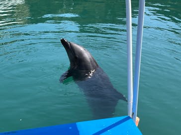 下田海中水族館に投稿された画像（2022/4/8）