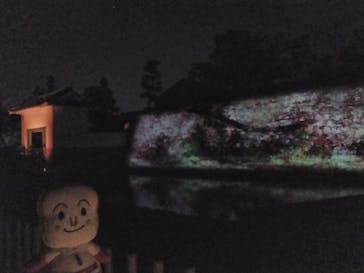 NAKED FLOWERS 2022 -桜- 世界遺産・二条城に投稿された画像（2022/4/8）