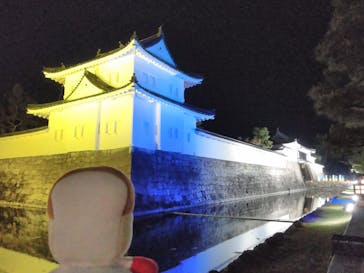 NAKED FLOWERS 2022 -桜- 世界遺産・二条城に投稿された画像（2022/4/8）