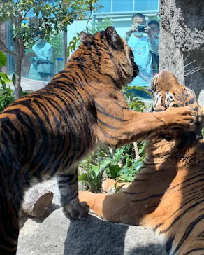 神戸どうぶつ王国に投稿された画像（2022/4/8）