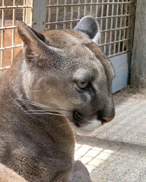 神戸どうぶつ王国に投稿された画像（2022/4/8）