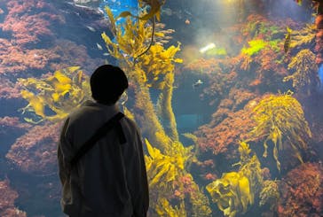 新江ノ島水族館に投稿された画像（2022/4/8）