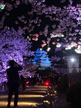 姫路城（イベント）に投稿された画像（2022/4/8）