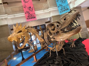 国立科学博物館　特別企画展「ポケモン化石博物館」に投稿された画像（2022/4/8）