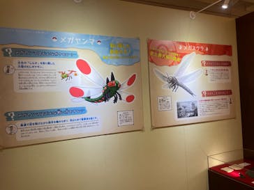 国立科学博物館　特別企画展「ポケモン化石博物館」に投稿された画像（2022/4/8）