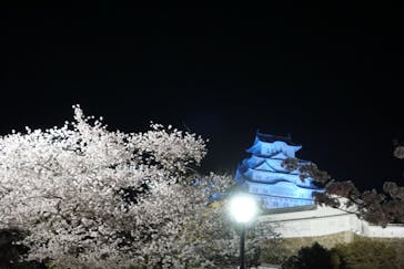 姫路城（イベント）に投稿された画像（2022/4/8）