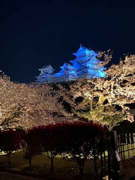 姫路城（イベント）に投稿された画像（2022/4/8）