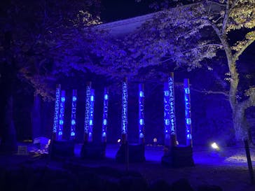 姫路城（イベント）に投稿された画像（2022/4/8）