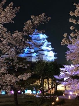 姫路城（イベント）に投稿された画像（2022/4/8）
