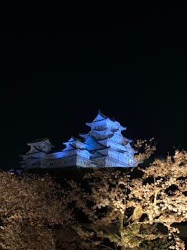 姫路城（イベント）に投稿された画像（2022/4/8）