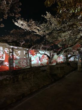 姫路城（イベント）に投稿された画像（2022/4/8）