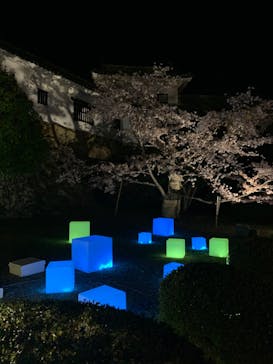 姫路城（イベント）に投稿された画像（2022/4/8）