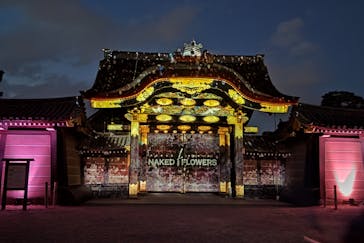 NAKED FLOWERS 2022 -桜- 世界遺産・二条城に投稿された画像（2022/4/8）