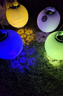 NAKED FLOWERS 2022 -桜- 世界遺産・二条城に投稿された画像（2022/4/8）