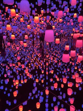 森ビル デジタルアート ミュージアム：エプソン チームラボボーダレスに投稿された画像（2022/4/8）