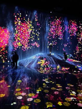 森ビル デジタルアート ミュージアム：エプソン チームラボボーダレスに投稿された画像（2022/4/8）