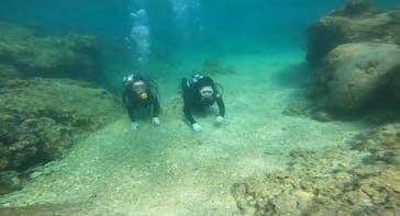 武藤潜水に投稿された画像（2022/4/9）