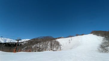 つがいけマウンテンリゾートに投稿された画像（2022/4/9）