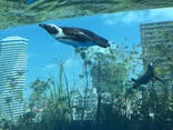 サンシャイン水族館に投稿された画像（2022/4/9）