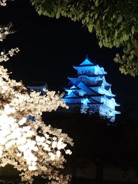 姫路城（イベント）に投稿された画像（2022/4/9）