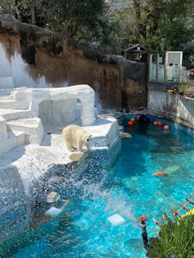 天王寺動物園に投稿された画像（2022/4/9）
