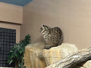 那須どうぶつ王国に投稿された画像（2022/4/9）