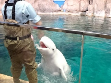 名古屋港水族館に投稿された画像（2022/4/9）