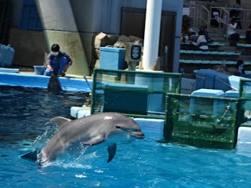 名古屋港水族館に投稿された画像（2022/4/9）