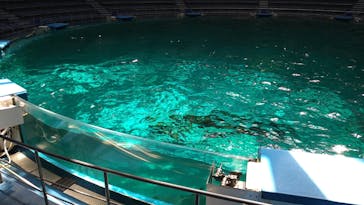 マクセル アクアパーク品川に投稿された画像（2022/4/9）