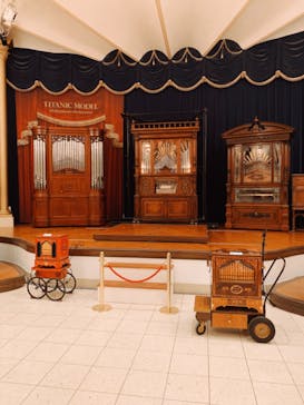 河口湖 音楽と森の美術館に投稿された画像（2022/4/9）