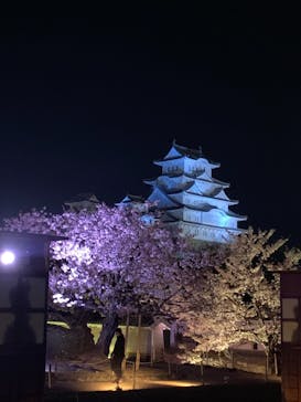 姫路城（イベント）に投稿された画像（2022/4/9）