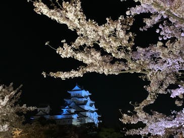 姫路城（イベント）に投稿された画像（2022/4/9）