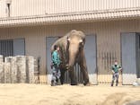 横浜市立金沢動物園に投稿された画像（2022/4/9）