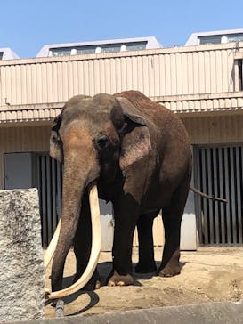 横浜市立金沢動物園に投稿された画像（2022/4/9）