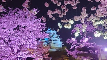 姫路城（イベント）に投稿された画像（2022/4/9）