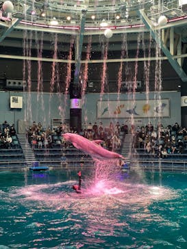 マクセル アクアパーク品川に投稿された画像（2022/4/9）