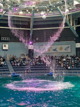 マクセル アクアパーク品川に投稿された画像（2022/4/9）