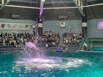 マクセル アクアパーク品川に投稿された画像（2022/4/9）