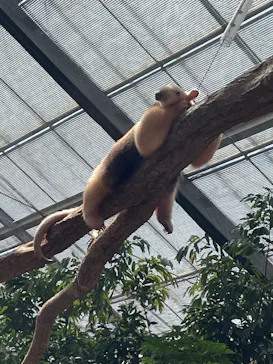 神戸どうぶつ王国に投稿された画像（2022/4/9）