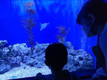 サンシャイン水族館に投稿された画像（2022/4/9）