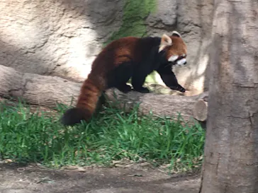 神戸どうぶつ王国に投稿された画像（2022/4/9）