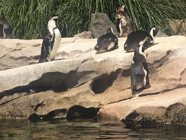 神戸どうぶつ王国に投稿された画像（2022/4/9）