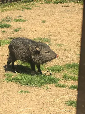 神戸どうぶつ王国に投稿された画像（2022/4/9）