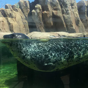 神戸どうぶつ王国に投稿された画像（2022/4/9）