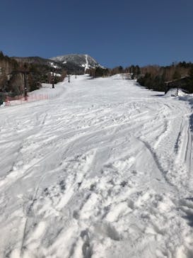 横手山・渋峠スキー場に投稿された画像（2022/4/9）