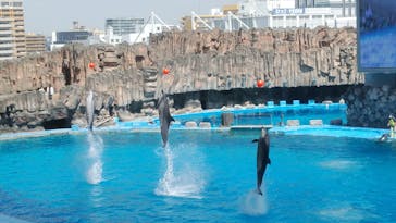名古屋港水族館に投稿された画像（2022/4/9）